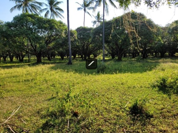 03c8e57b 04f3 417e b6ea b302488fd6ed