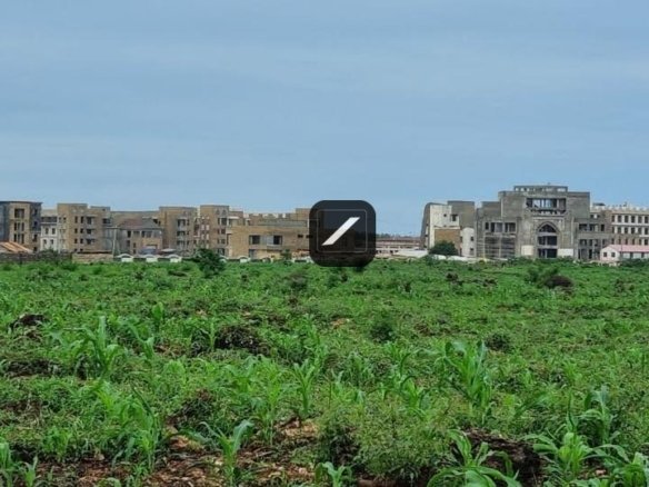 0f01c1ae 0fda 43ef af7a 64ae2aadaf8c