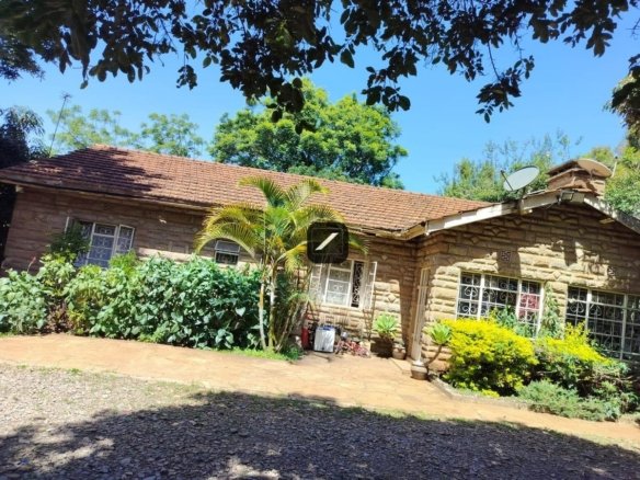 26833fcd 0f2f 4dc1 9679 e5fc3ea68159