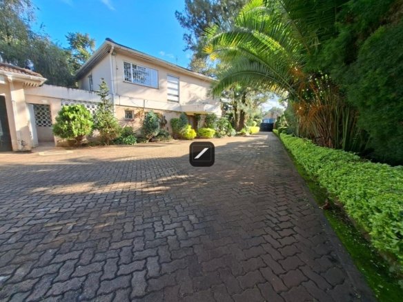 374ace59 15b9 4b9d ad53 b8e1fd55c63b