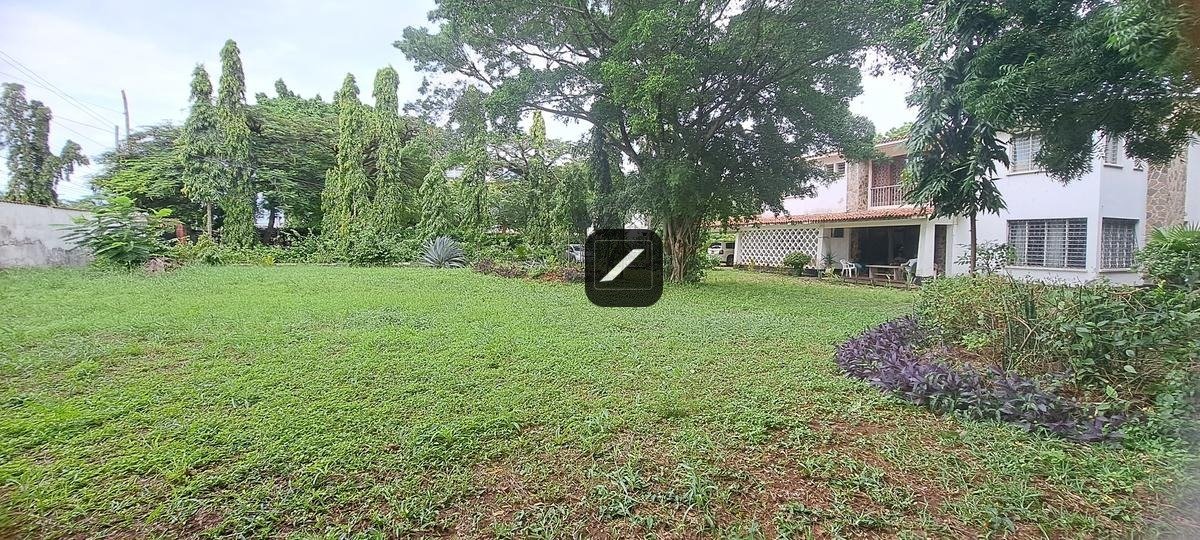 3de7b95c-de5f-40a2-97a3-972e2d81e3ef (2)