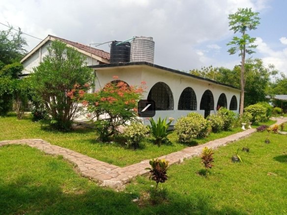 3ed8a688 6b56 45ac 9834 5ef82dcd03b6