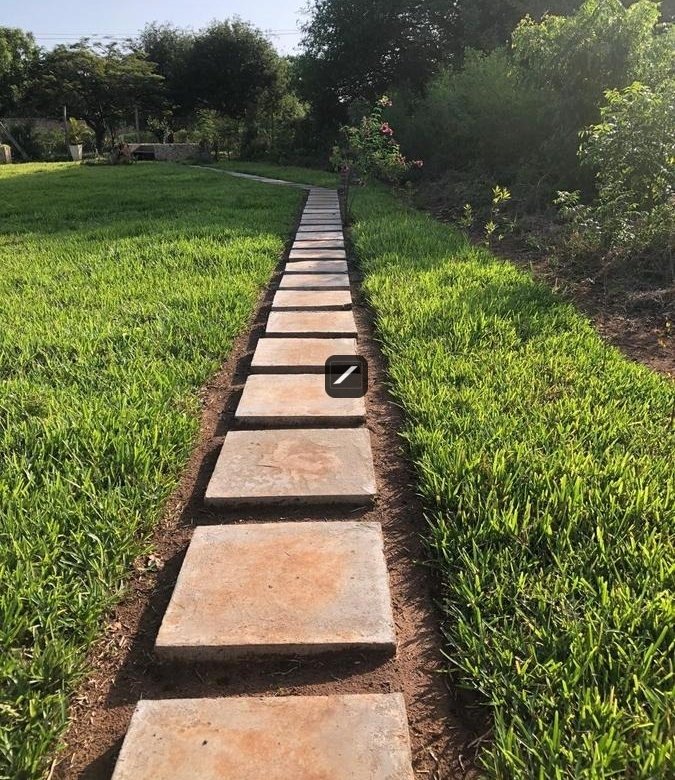 675