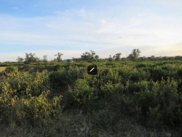 49048b33 3c90 447e a266 3e61b6a29702