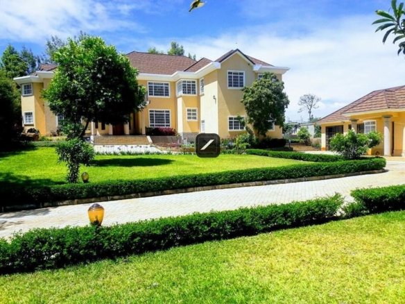 50379cb0 16e7 480a 8bf3 9121ca73899c