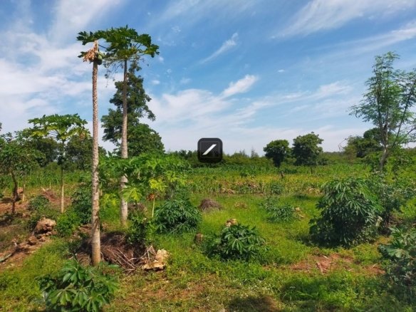 6037dd4a 2784 4bcd 9d00 882c4ee8abf8