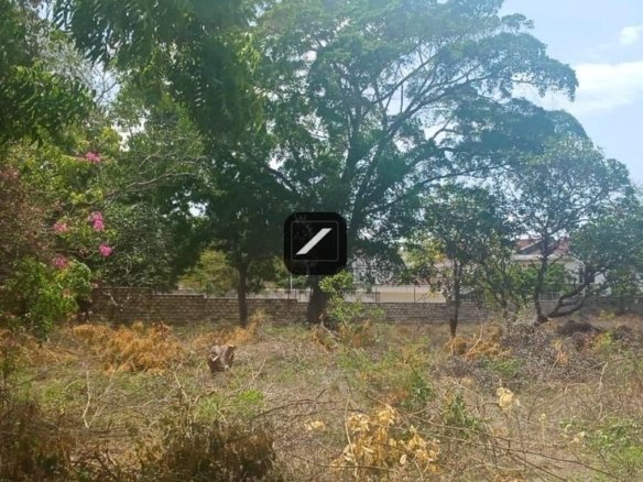 6fa08d41 81ce 441c bd53 d4331c59ce98