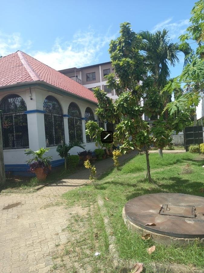 703fca21-b025-4c8d-a105-0c31b09980b7