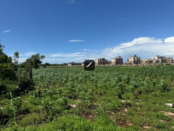 73a560dc 8b13 45cc 9d6e 55772f6d2c96