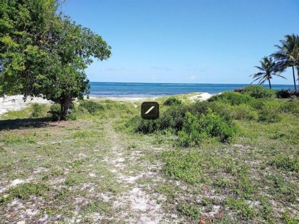 7e1fb388 d8f1 4f1a bc50 cad307cc2790