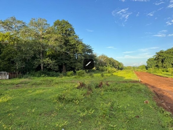 97a101f8 f54d 4c58 88b5 b69d8e2099f5