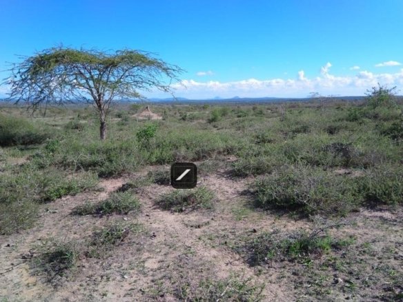 99836a73 0d66 4832 bfed 438c4947d2bf (1)