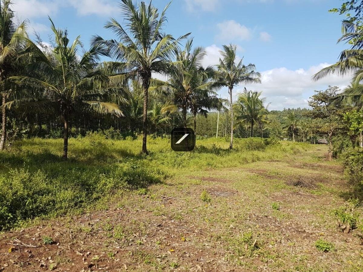 99ea936a-7c4f-4455-959e-f19d6b7ddf2a