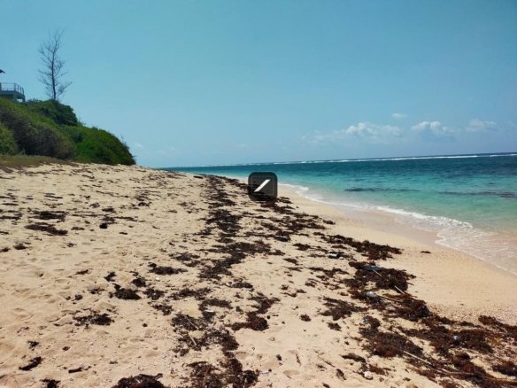 9dc63874 a30e 4c29 90b3