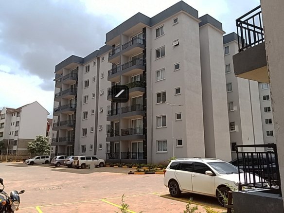 DJI 20241117 130547 429 (1)