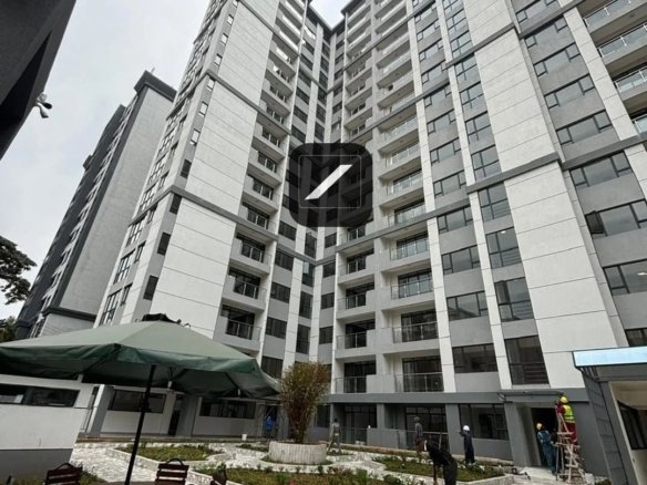 Snapinsta.app 459191511 1535105007210906 8236388694007738391 n