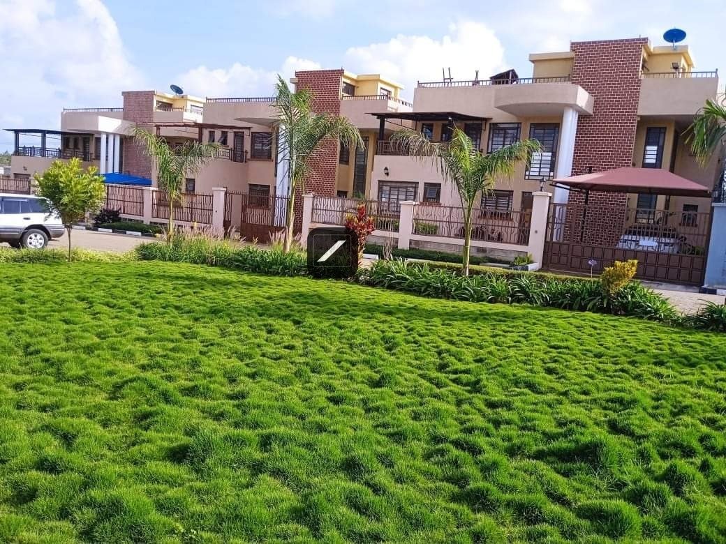 WhatsApp-Image-2024-01-19-at-21.02.59