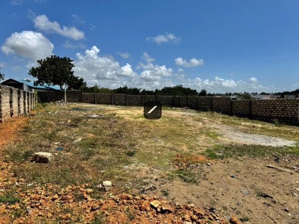 A05660f2 7fff 4fc6 a9e5 49ad8ef6d41f