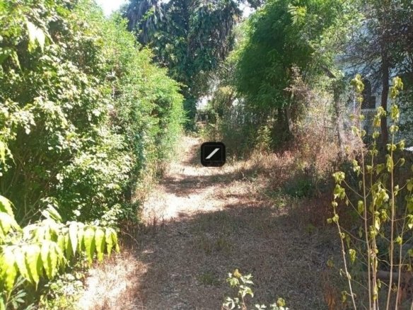 A3d3ceea fe55 46bd bd04 9e69cb008020 (1)