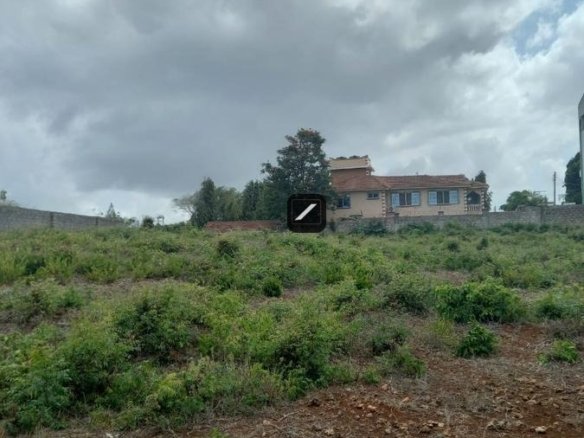 Bcde1169 3a05 4966 b4c8 c281d5560db1