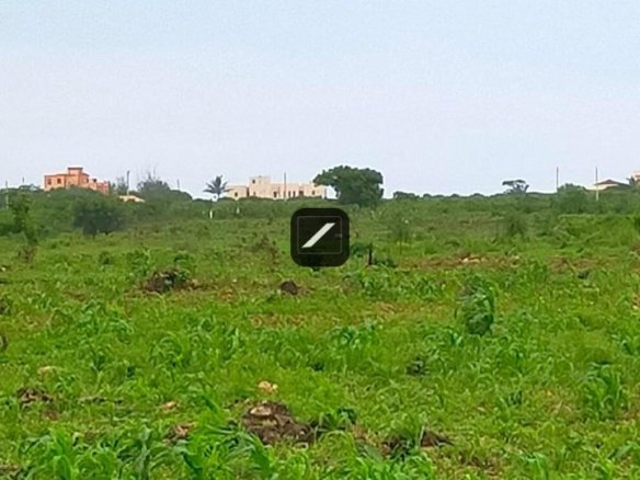 Bddb8aca 43cd 4028 8b3f f03fd57968cb