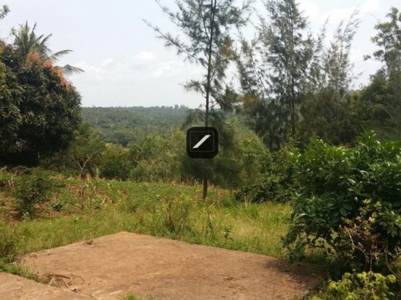 C72129fc 1747 4bbc 8215 1662fbf35999