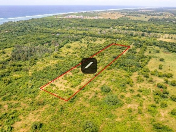 C9a271dc 0c62 47a2 964d 1d504c832768