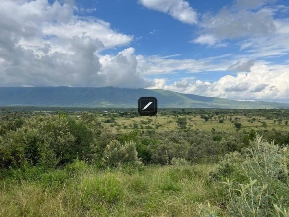 Cdd2c44b 013c 4b69 8090 53c28e4da94b