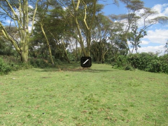 D4f3ee8d 3632 43ae ae5b 969a22780059