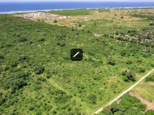 D73b0258 4148 4745 8e23 eb3d32c660ab