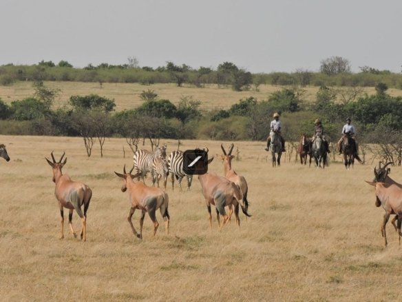 Da31f0e1 4012 4b1f ad58 d5c2547b321b