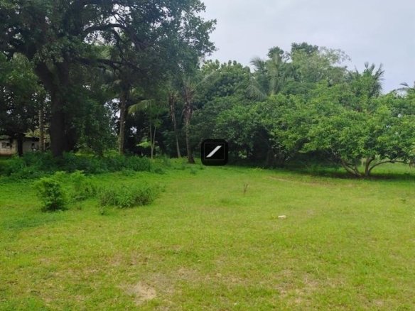 Ec7e8117 0a26 42ea bca1 c00eadc346a1