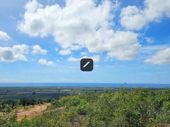 Ed23737a 80af 46c8 b510 b55f7347e3ea