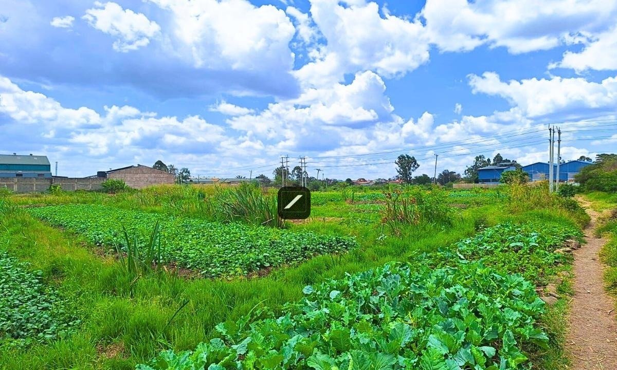 ef210e8f-705f-457c-982d-5306ef7c57c8