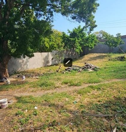 F575dff8 53bc 478f 86b6 59c1750cf815