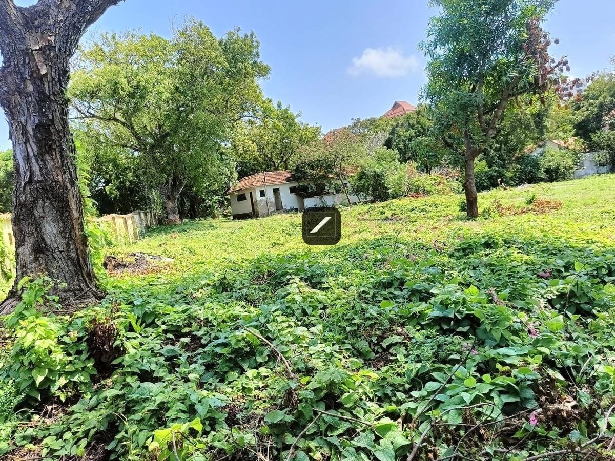 f9ff8fc4-6fbf-4cf3-8006-f26db03ea140