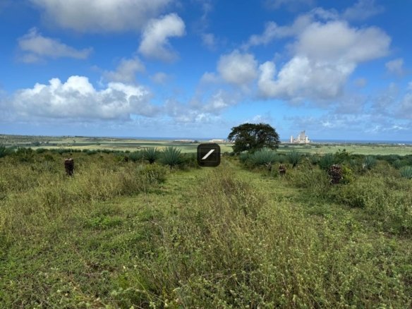 Faa2efec 145d 44af a49e a55a544ad4f2