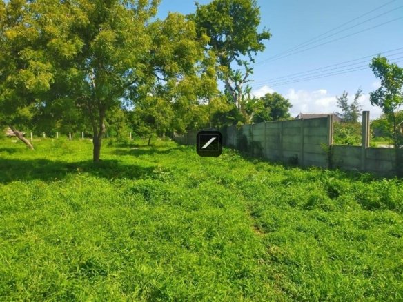 Fb1702b5 957a 413f af16 51083316fed9