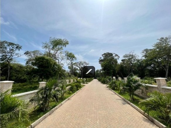 Imgi 10 99fbbf27 c0fb 4f02 9fce 8c3f045599bb