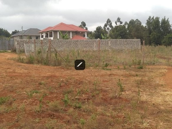 Imgi 10 e918603d 41f6 4d57 b1d1 297449b56799