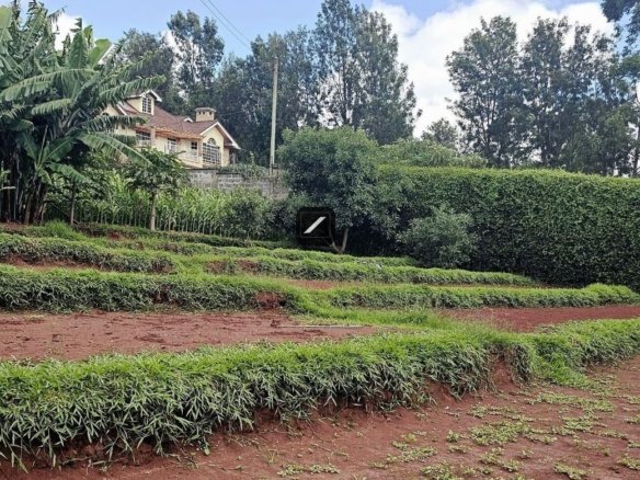 Imgi 12 0caf54fe 314e 4188 9f37 7cbbf5b5028f