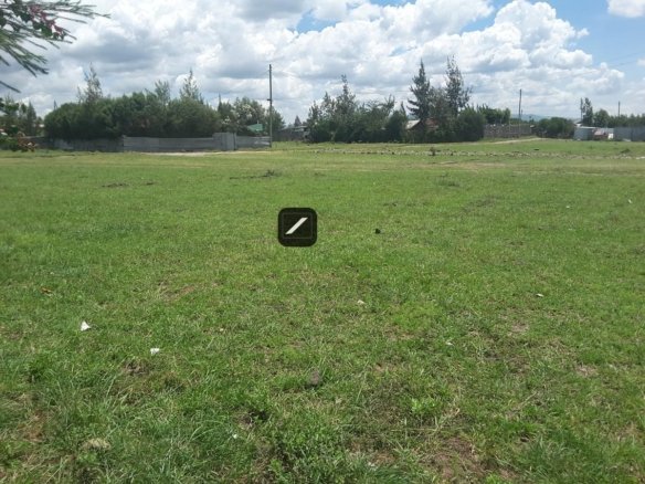 Imgi 15 2b5ea62e d915 46de 97f9 285ef347e73a