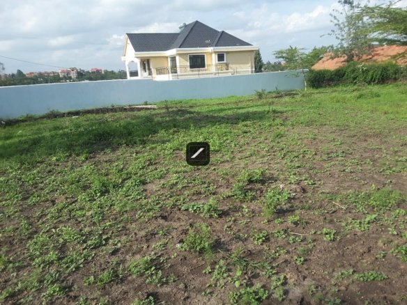 Imgi 15 36a068b6 1516 43da ae21 1c0d0195927d