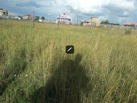 Imgi 16 6341c8b8 cf3a 406d 8115 eab96831dd27