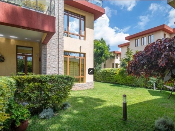 Imgi 16 d06268e8 a7bd 408c a075 0f86ac3ae887