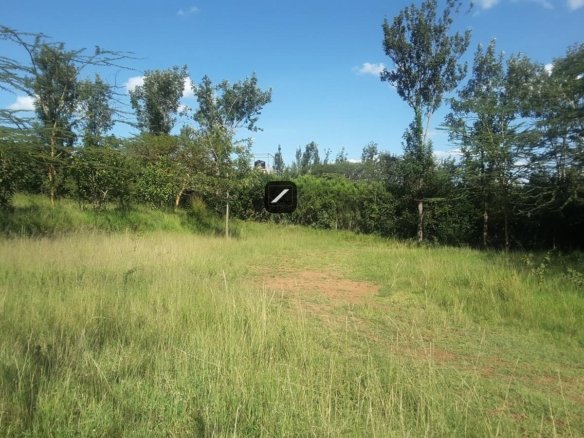 Imgi 16 f3af99ea 97d3 4223 967c 46a192b81f2d