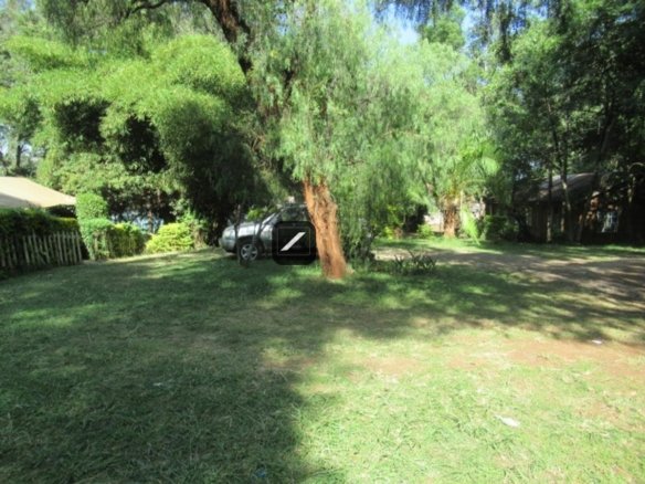 Imgi 19 8a2cbfc4 b1ee 4333 9603 3b6071f47cae