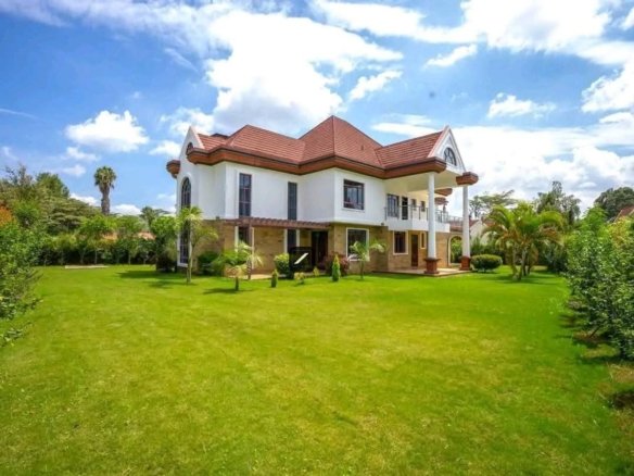 Imgi 19 9c7d6941 4614 427e acc4 2e2d68aa9060