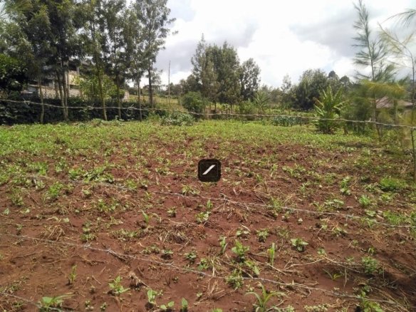 Imgi 19 dfde815a c974 4c89 b158 e3d8fbd655bd