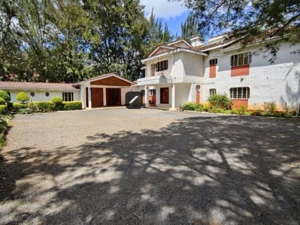 Imgi 19 e62c9e60 6753 4a2c a217 6b119cae2904